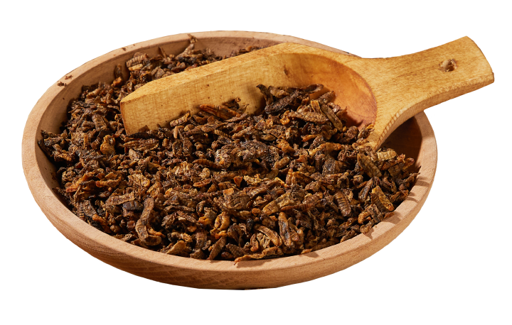 Landleben Pickies Soldatenfliegenlarven